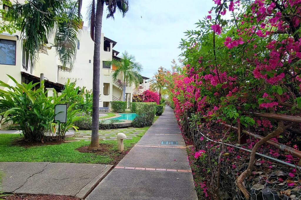Amazing Oceanview Rooftop Terrace Walk To Beach 科克 外观 照片